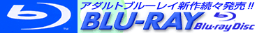 �u���[���C