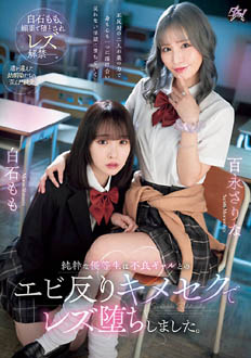 DASS-486