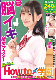 HOWS-013