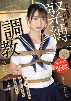 IPZZ-653